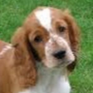 Meet your Posher, Avery